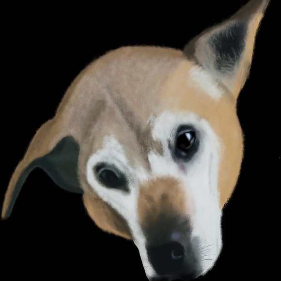 Meet your Posher, Nicole - Picture 13 of 13